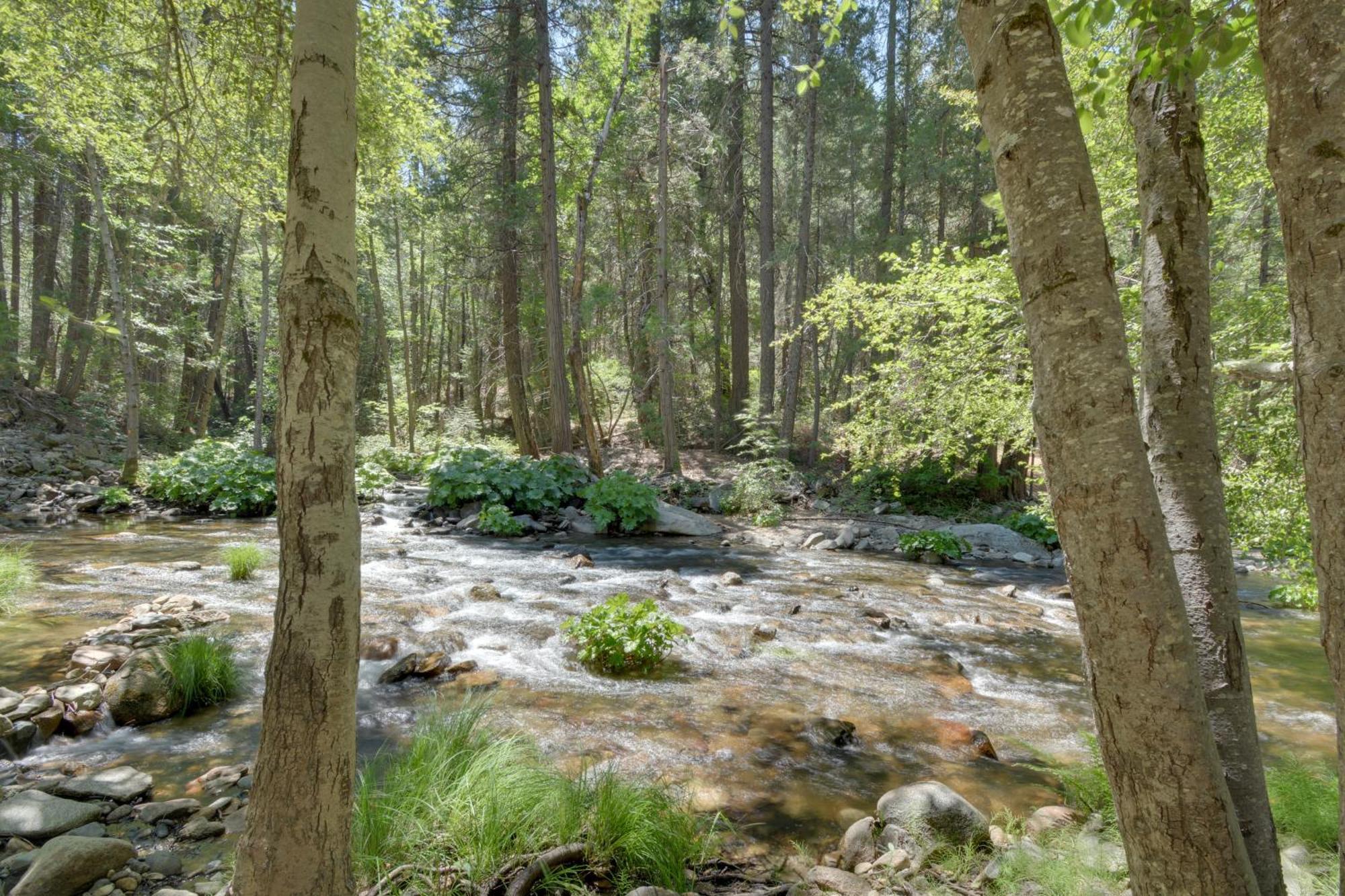 Riverfront Home Near Yosemite National Park! Groveland Εξωτερικό φωτογραφία